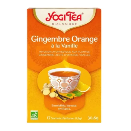 4012824405226-yogi-tea-gingemb-orang-van-sach-17