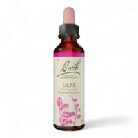 Fleur de Bach Bach Original - Fleur de Bach n°11 Elm (Orme) - 20ml - Élixir floral original du Dr Bach