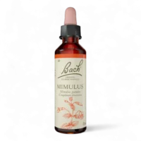 Fleur de Bach Bach Original - Fleur de Bach n°20 Mimulus (Mimule) - 20ml - Élixir floral original du Dr Bach